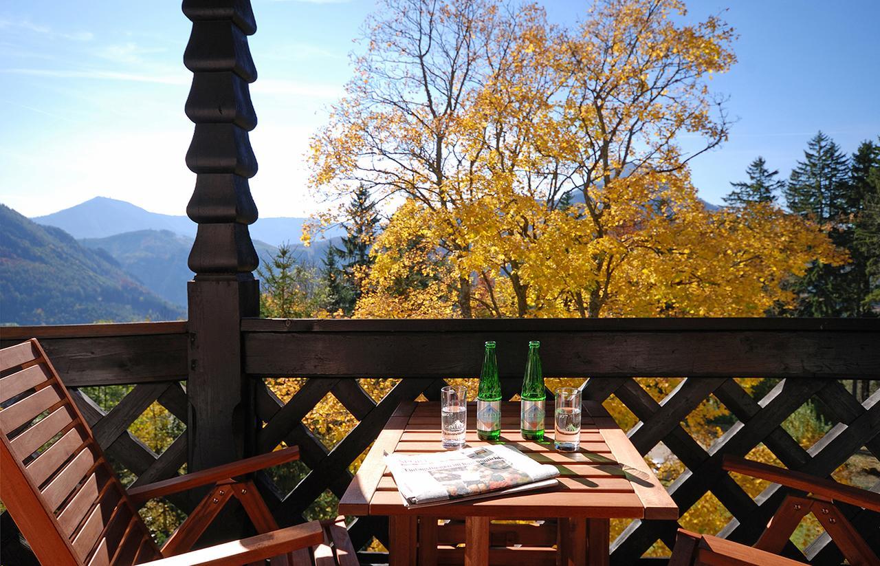 Alpenhotel Goesing Puchenstuben Экстерьер фото