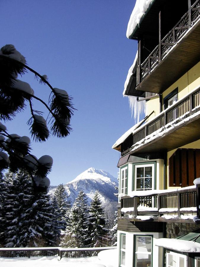 Alpenhotel Goesing Puchenstuben Экстерьер фото